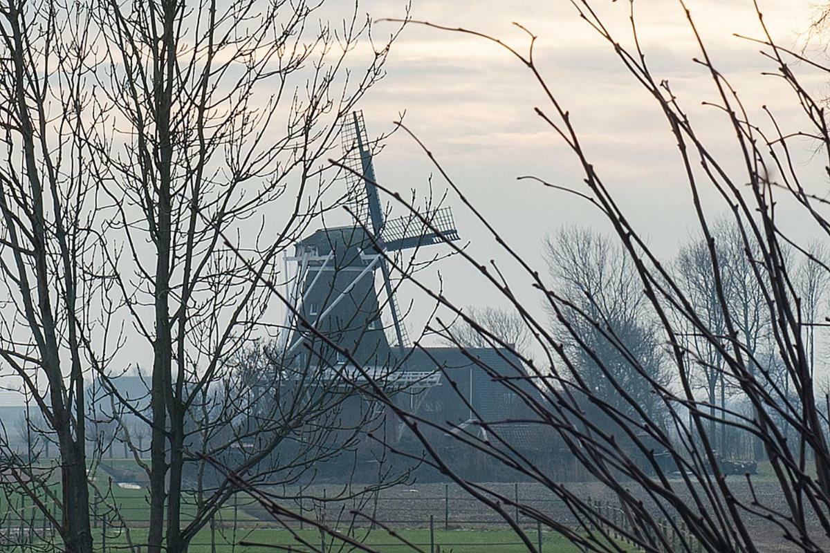 B&B Lauwersstate Paesens Luaran gambar